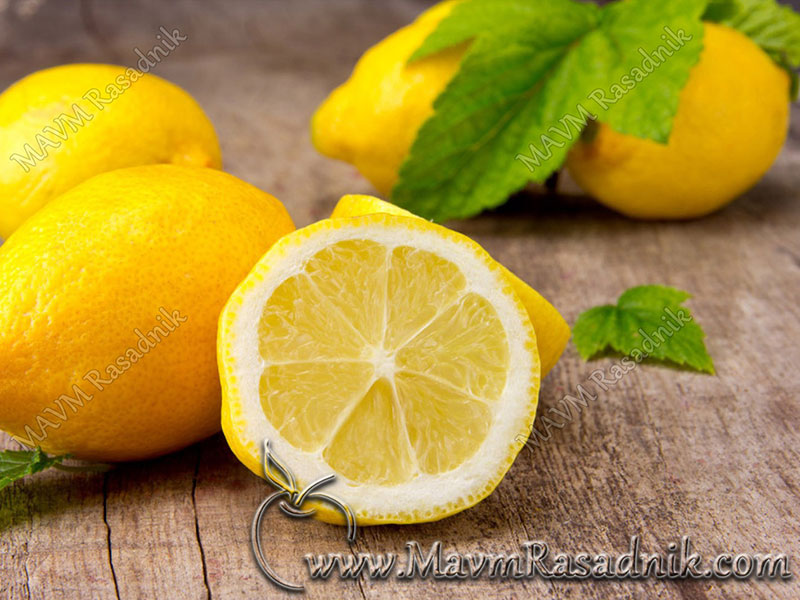 01 Limun Mejer