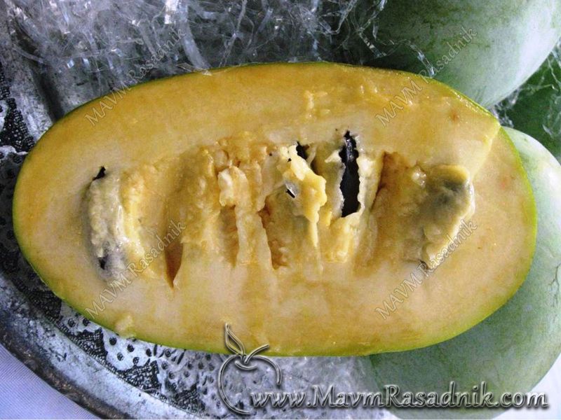 05 Plodovi Su Ukusni Mesavina Ananasa Manga I Banane