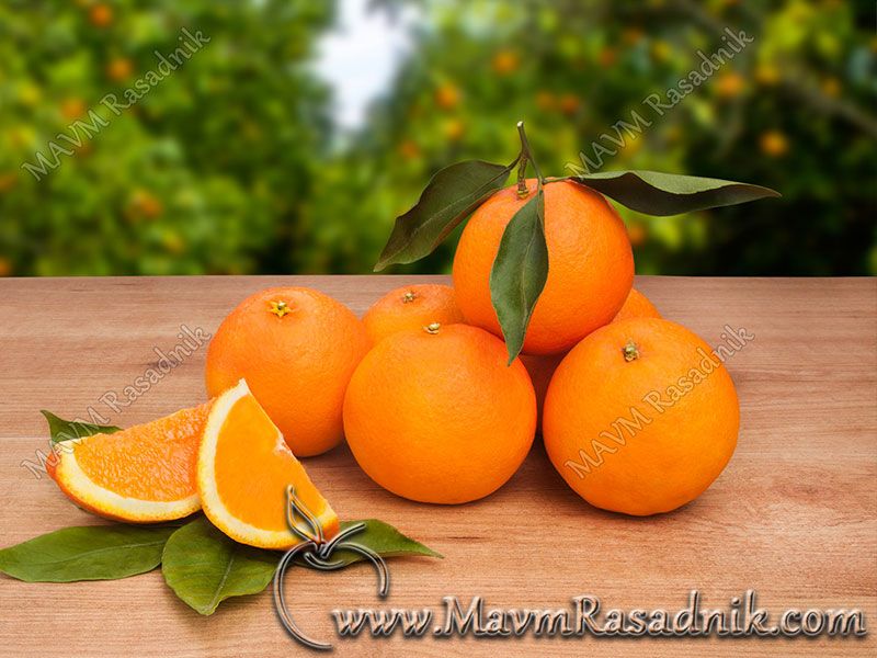 12 U Svakom Trenutku Plodovi Narandze Na Vasem Stolu